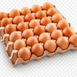 telur ayam 1 rak
